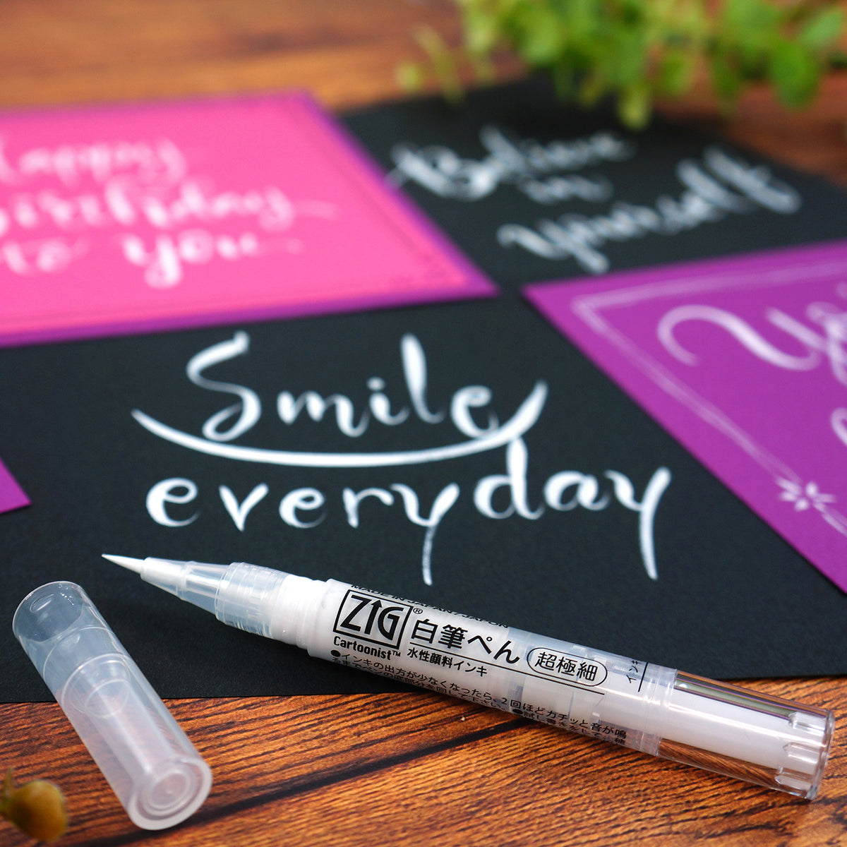 ZIG CARTOONIST 白筆ぺん 超極細 (CNBW-02S)