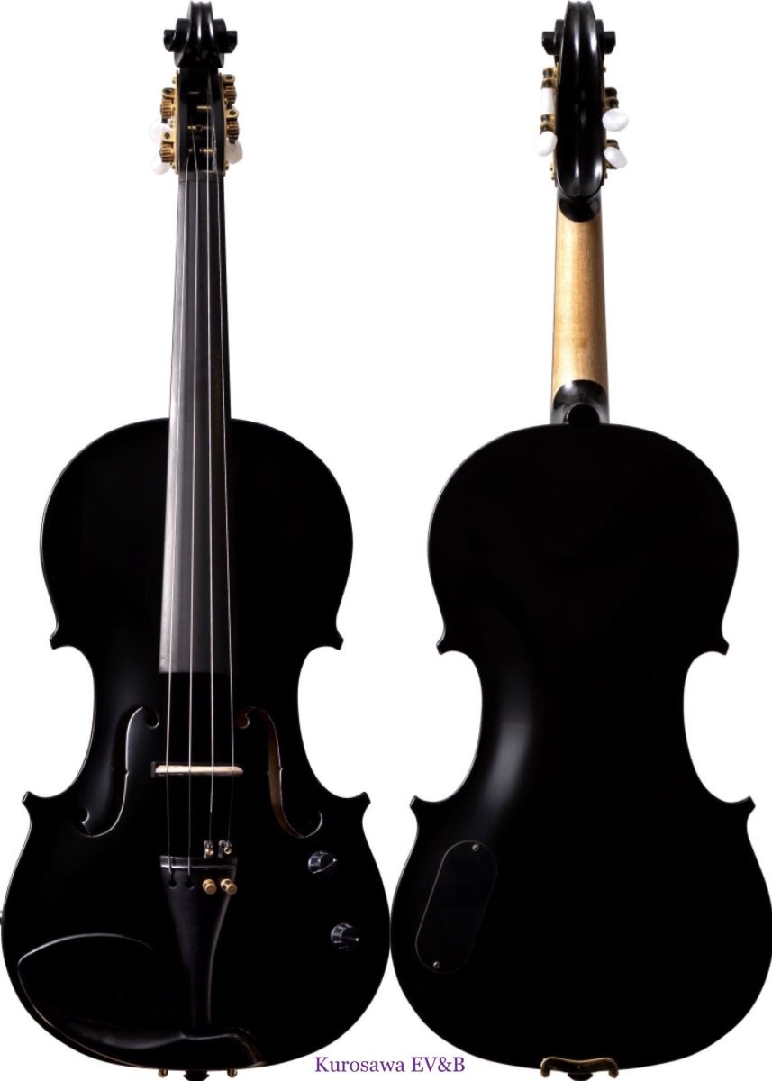 Reghin Electric Violin V100E《全4色》 | 【クロサワ楽器店オンライン