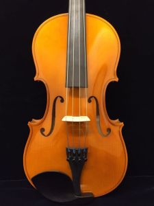 ビオラ、Roderich Paesoldの弦楽器検索結果一覧 | 【クロサワ楽器店