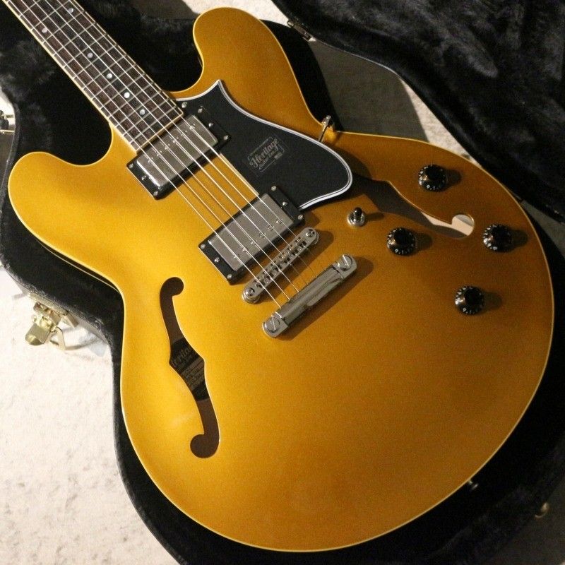 Standard Collection H-535 ~Gold Top~ #AN22003 | 【クロサワ楽器店