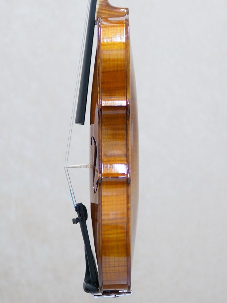 Gliga Gama II | 【クロサワ楽器店オンラインショップ】いい楽器との