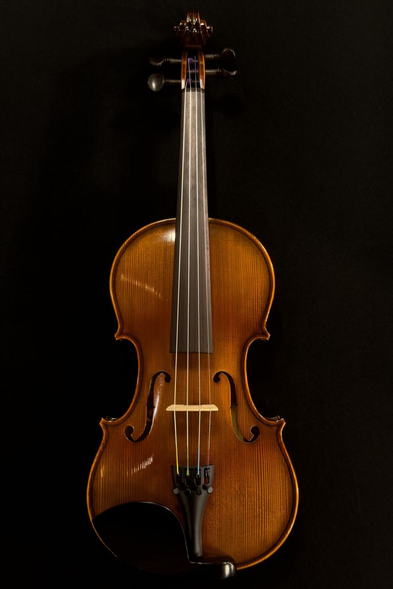 Reghin 4/4 Size Violin | 【クロサワ楽器店オンラインショップ】いい