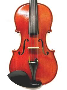 Roderich Paesold、4/4の弦楽器検索結果一覧 | 【クロサワ楽器店