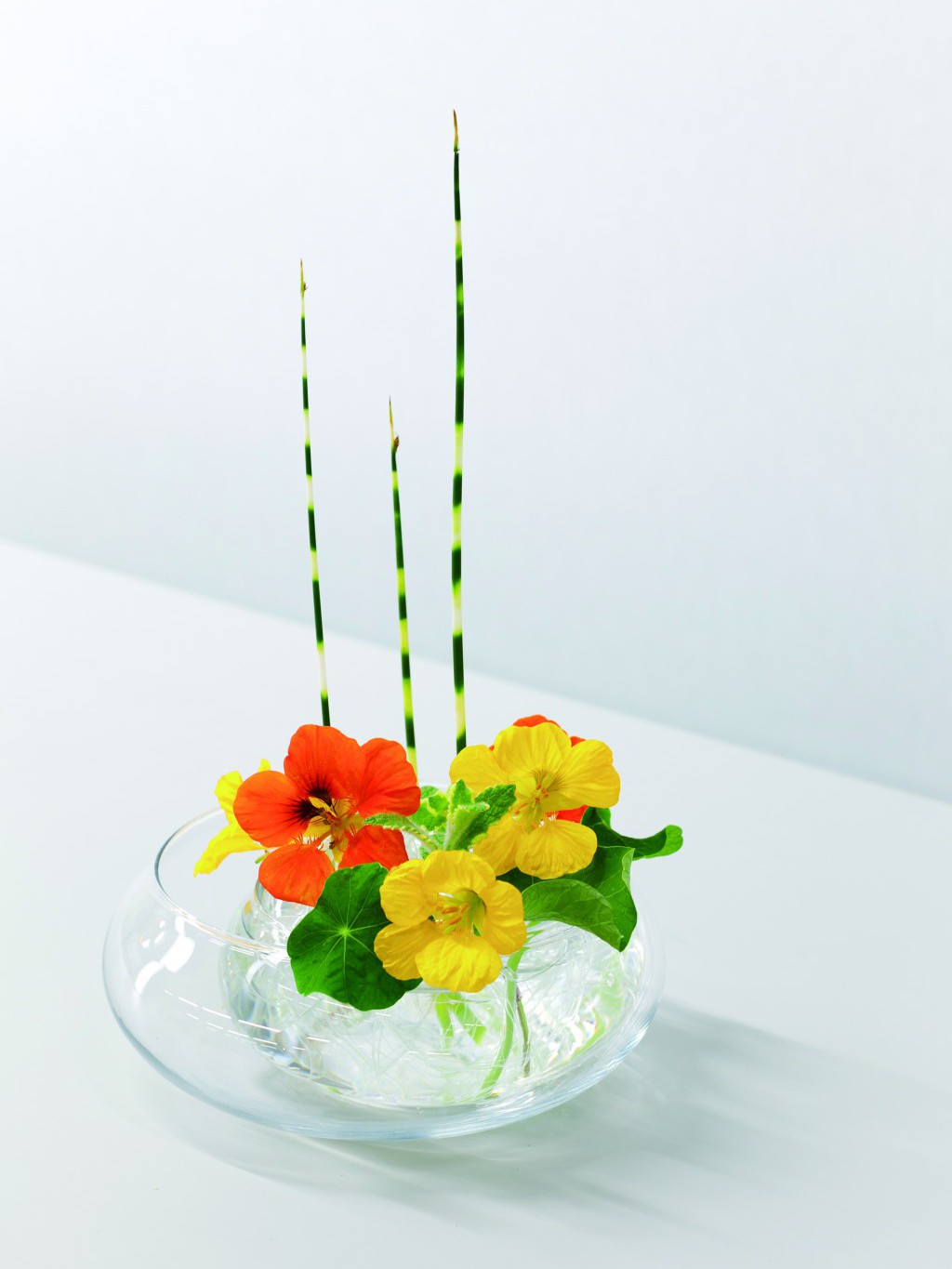 生け花に使う花器はどんな種類がある？選び方や特徴を徹底解説
