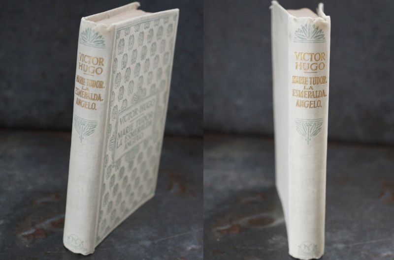 FRANCE antique NELSON BOOK フランス アンティーク 本 ネルソン 古書