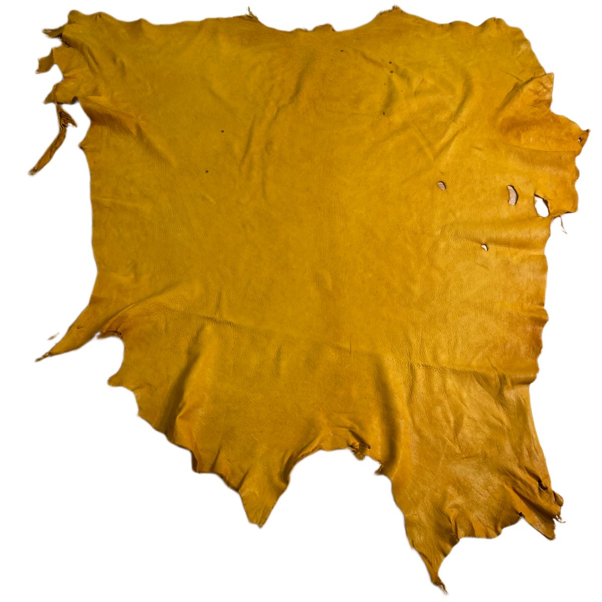 Moose Leather (20.5 sq.ft./#1 Quality) - Loose Moose Trading Post