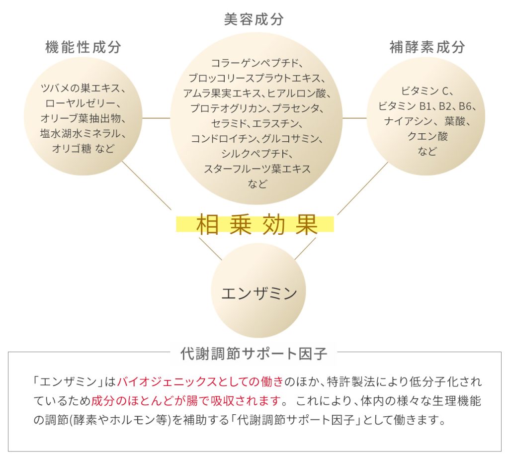 レヴィ インナーエステメルモ | LOUVREDO ルーヴルドー