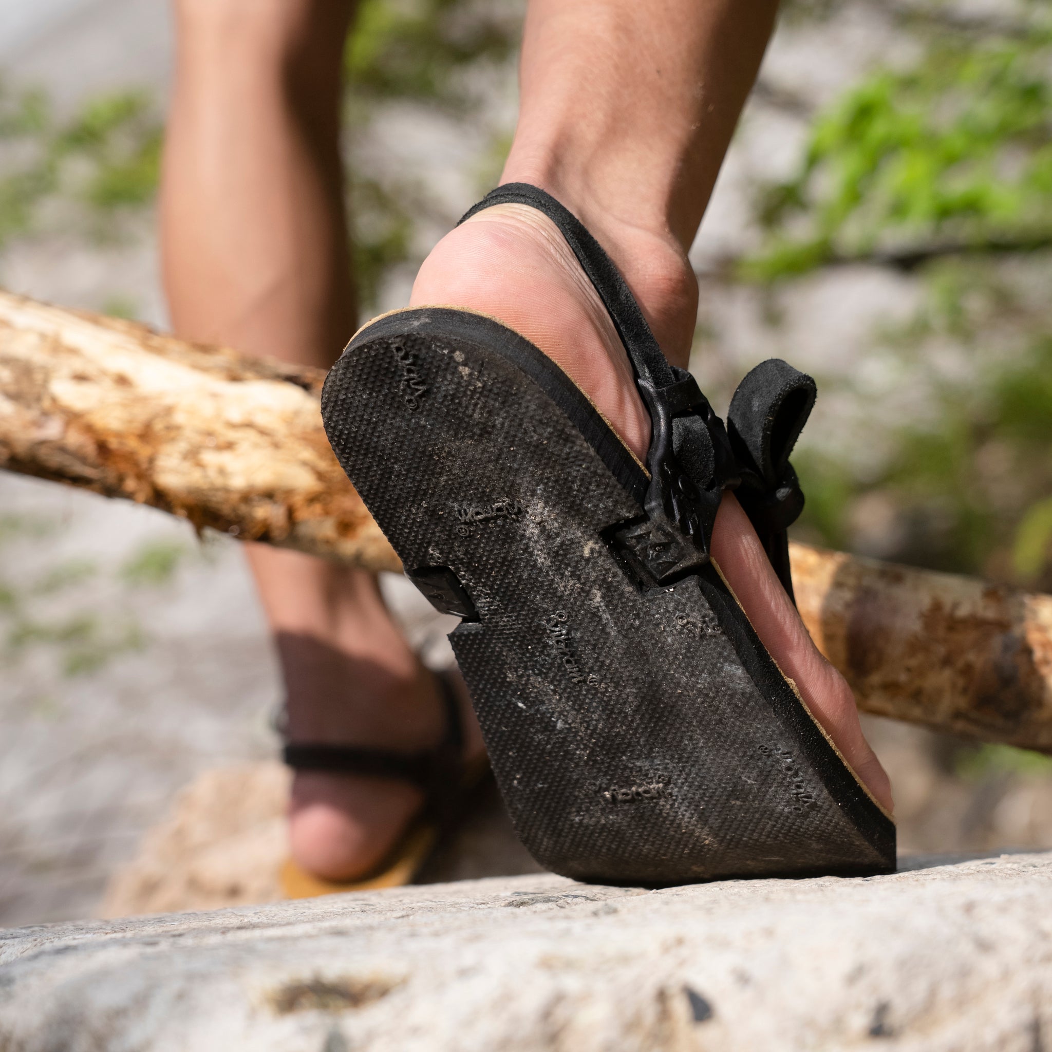 Venado Premium Cabra Winged Edition〔ベナード プレミアム カブラ