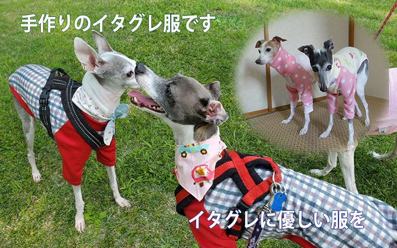 イタグレ服・イタグレの術後服 |mamapocket | イタグレに優しい服作り