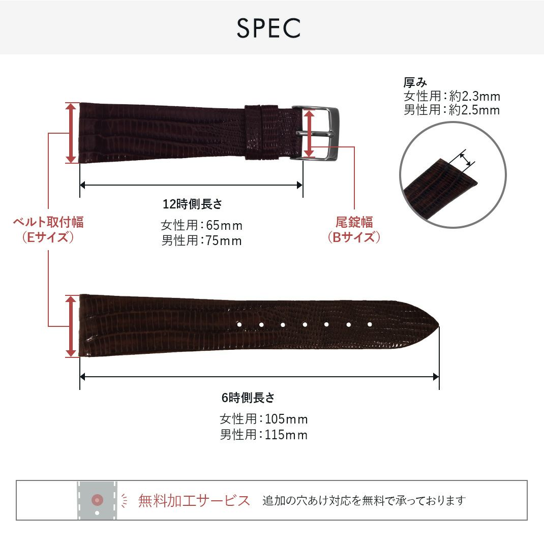 セイコー ドルチェ ラウンドケース 用 SEIKO DOLCE にぴったりの時計