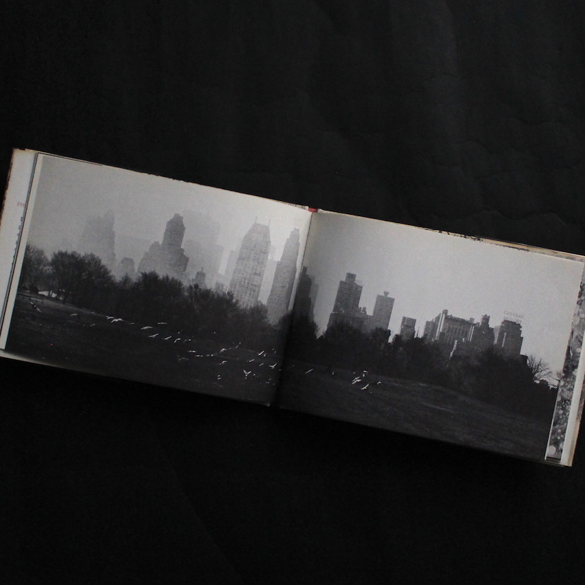 The Park - Helen Buttfield