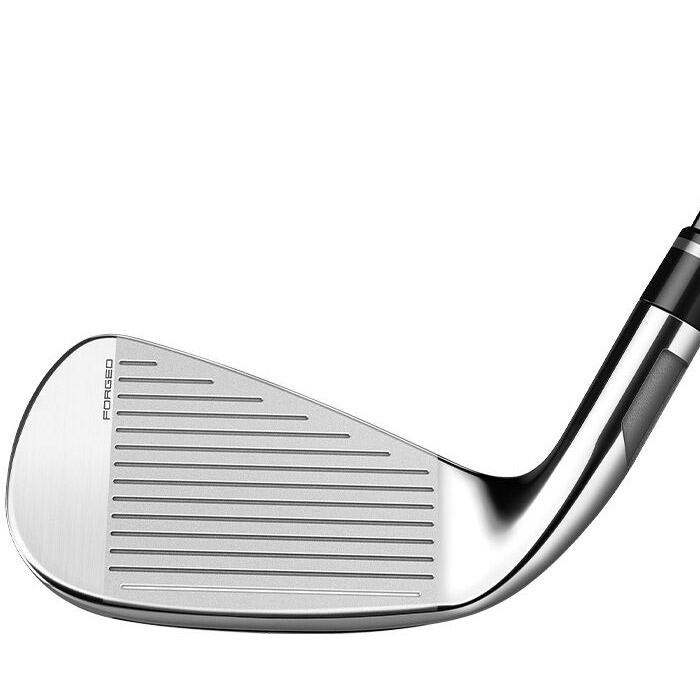 テーラーメイド ステルス グローレ アイアン N.S.PRO 790GH 6-PW5本