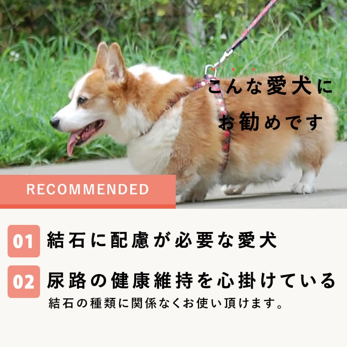 ナチュラルハーベスト フラックス 1袋[1.1kg] 結石ケア用食事療法食