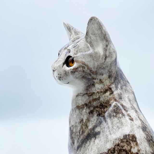 ウィンスタンレイキャット サバトラ白猫 サイズ6 ほぼ実物大