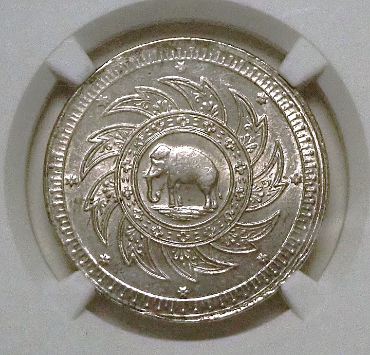 1_000000000805.jpg?1686786677