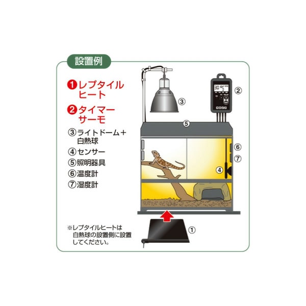 タイマーサーモ RTT-1 GEX（ジェックス） 爬虫類 両生類 温度管理
