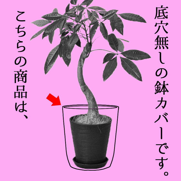 植木鉢 イタリア製 素焼き テラコッタ鉢 スタンダードポット 11cm（4号