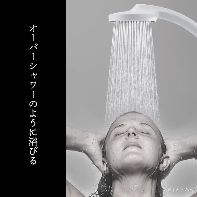 サンエイ SANEI シャワーヘッド ラージシャワー ブラック PS350-80XA-D