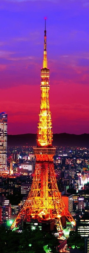 1_000000016411.jpg?1678209906