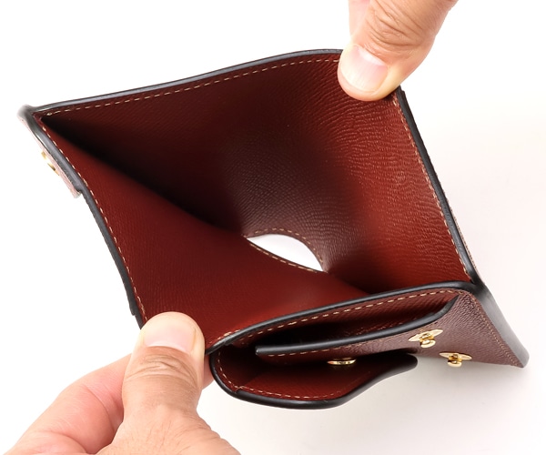 選べるノベルティ付】ワイルドスワンズ×クールキャット シェルコード