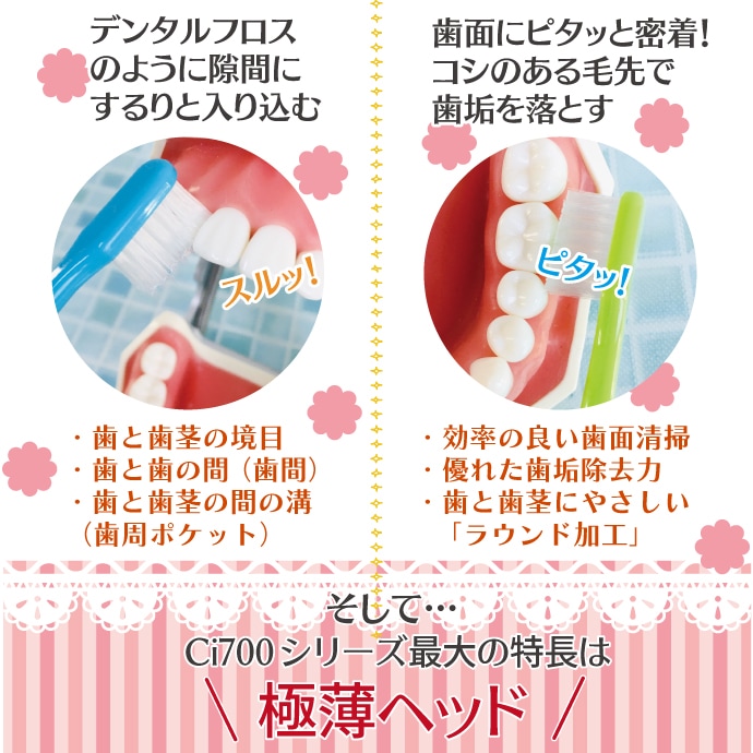 ペコちゃんポコちゃん 極薄ヘッド (Ci702 ラウンド毛 Mふつう or Ci700