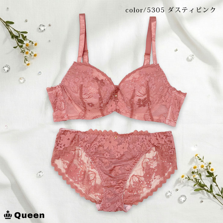 脇高ブラショーツセット D85 D90 D95 D100 (j5-d)