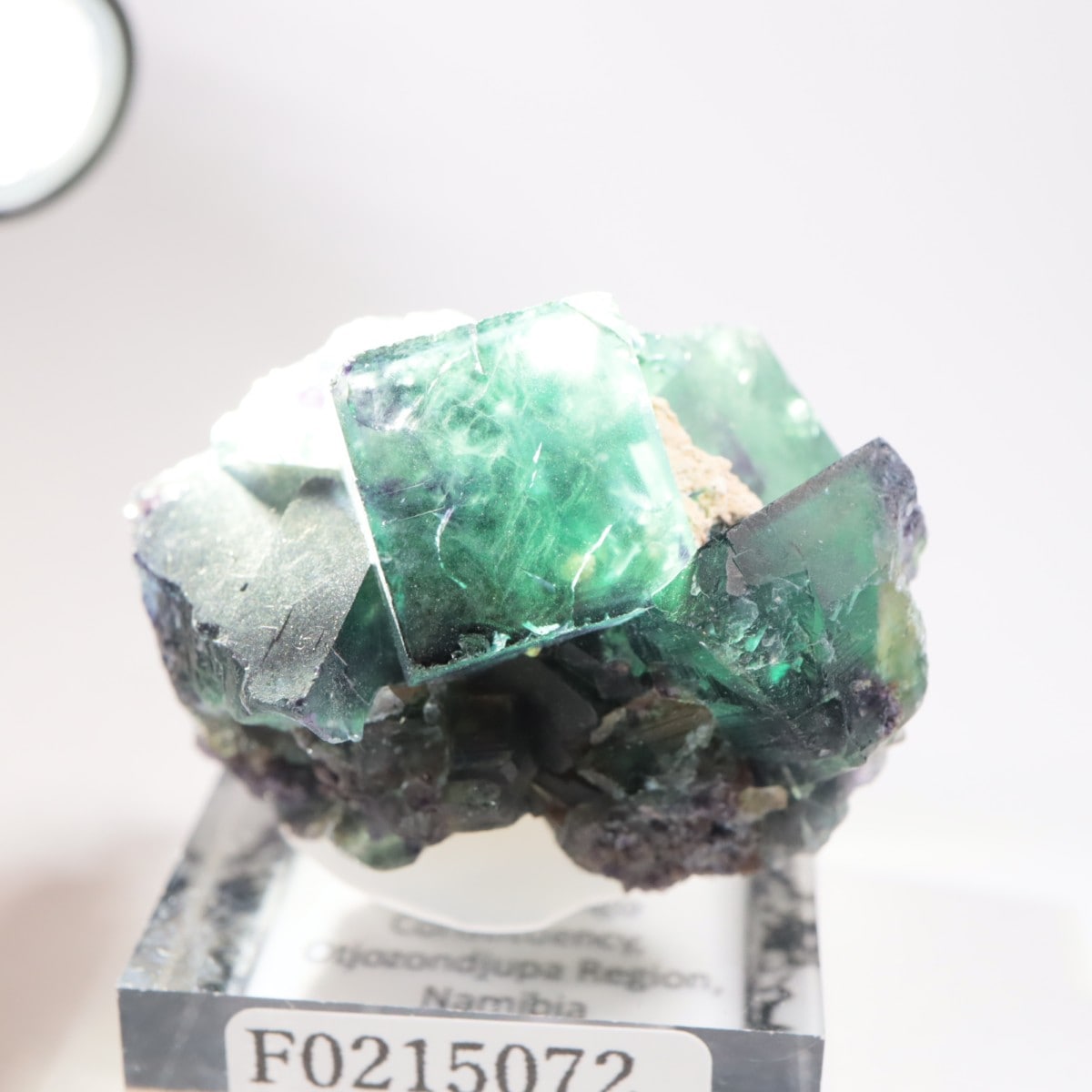 オコルス鉱山産 フローライト | 鉱物標本,ハ行,フローライト/蛍石