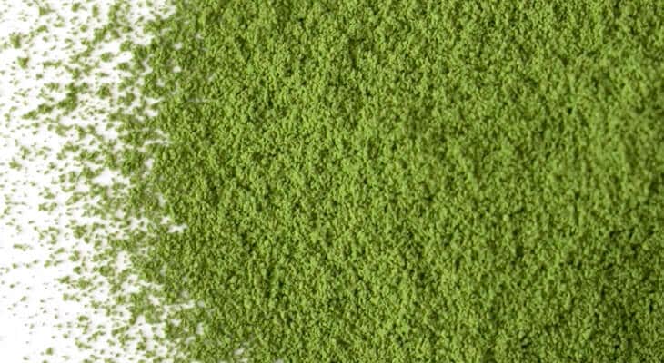 濃茶] 清祥の昔（せいしょうのむかし）（お一人様抹茶合計1点までの