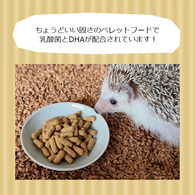 大容量】【本店限定価格】ハリネズミのむしたまペレットフード