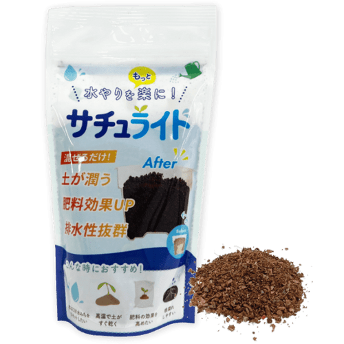 コロンブス 【RE系ブルーベリー】2年生苗相当