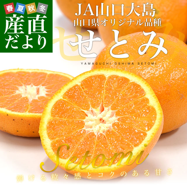 山口県産 JA山口大島 山口県オリジナル品種 せとみ 3LからS 5キロ（20
