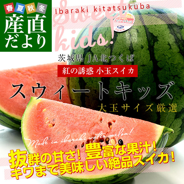 茨城県 JA北つくば 紅の誘惑 小玉スイカ 「スウィートキッズ」 優品