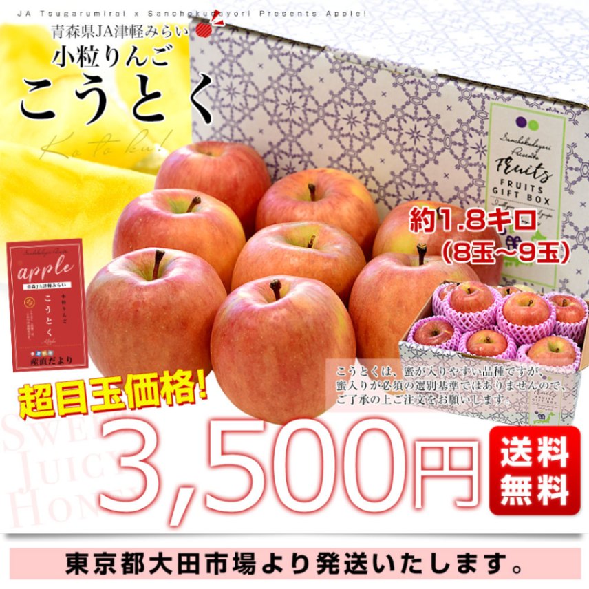 青森産 JA津軽みらい こうとく（高徳） 約1.8キロ (8玉から9玉) 送料