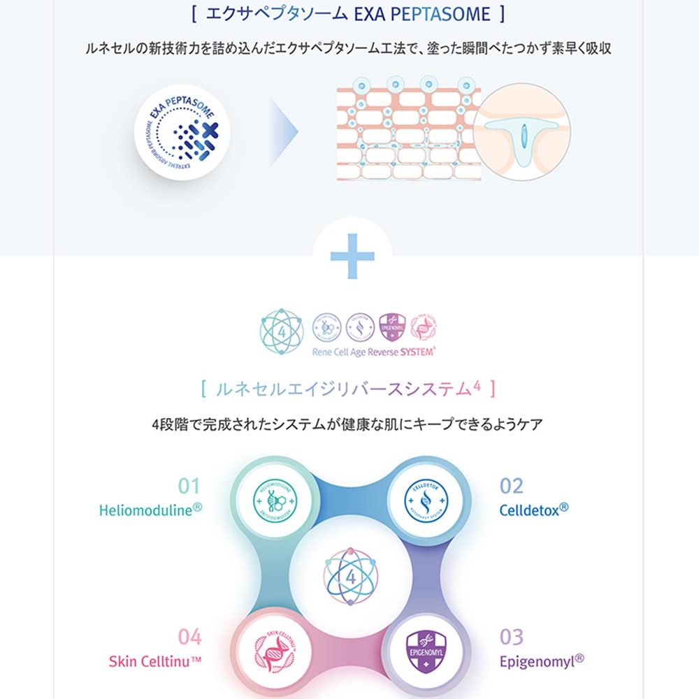 Rene-Cell Placen Skin Shield Renewal Cream | ルネセル プラセン