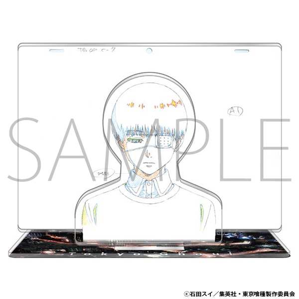 3_000000001593.jpg?1766465765