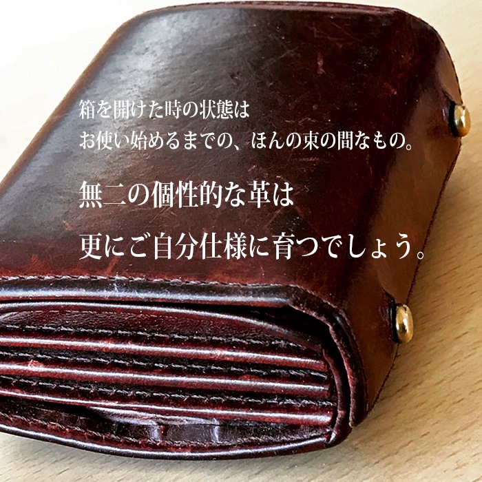 m+ エムピウ MILLEFOGLIE2 25 Pig ブルーxチョコ | m＋エムピウ村上