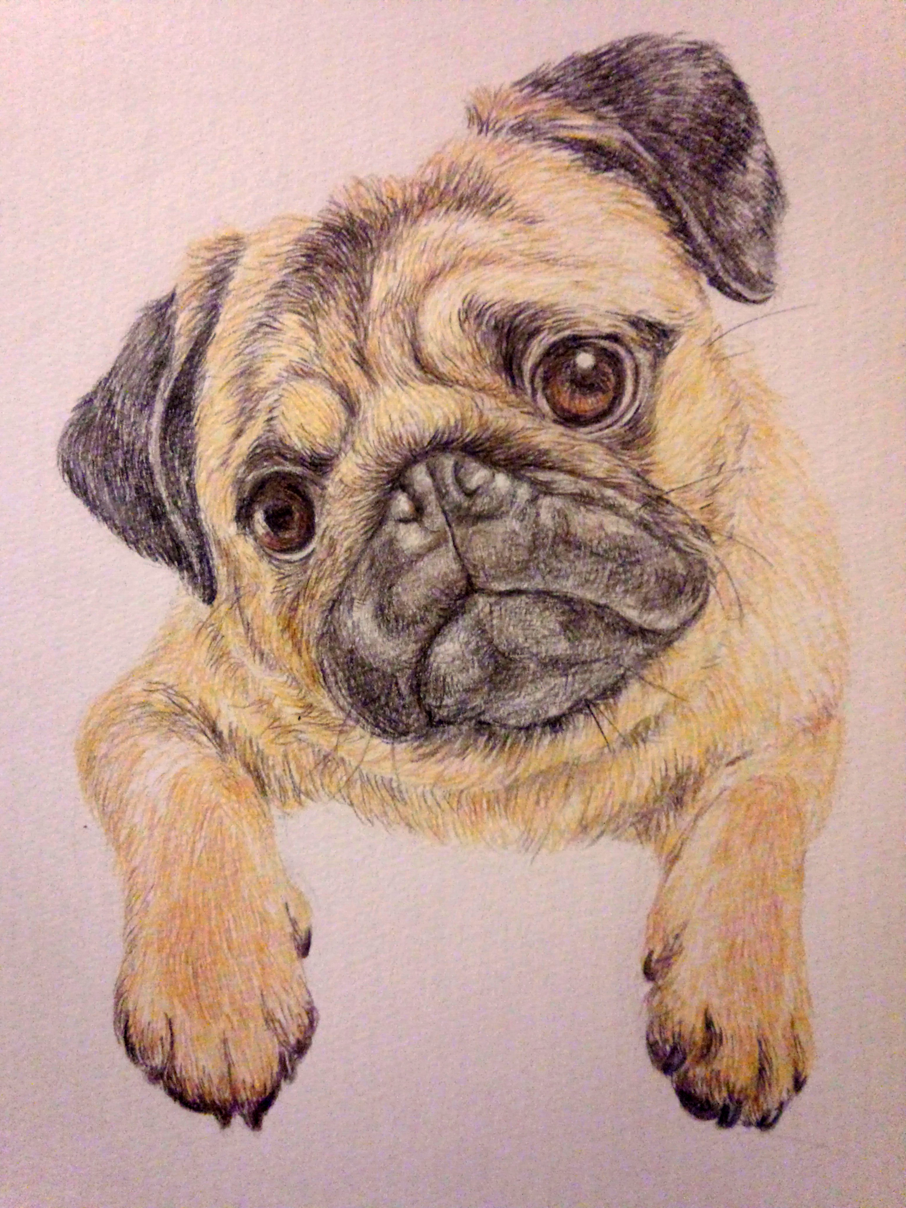 MASUO-YA 公式サイト｜パグの似顔絵イラスト制作