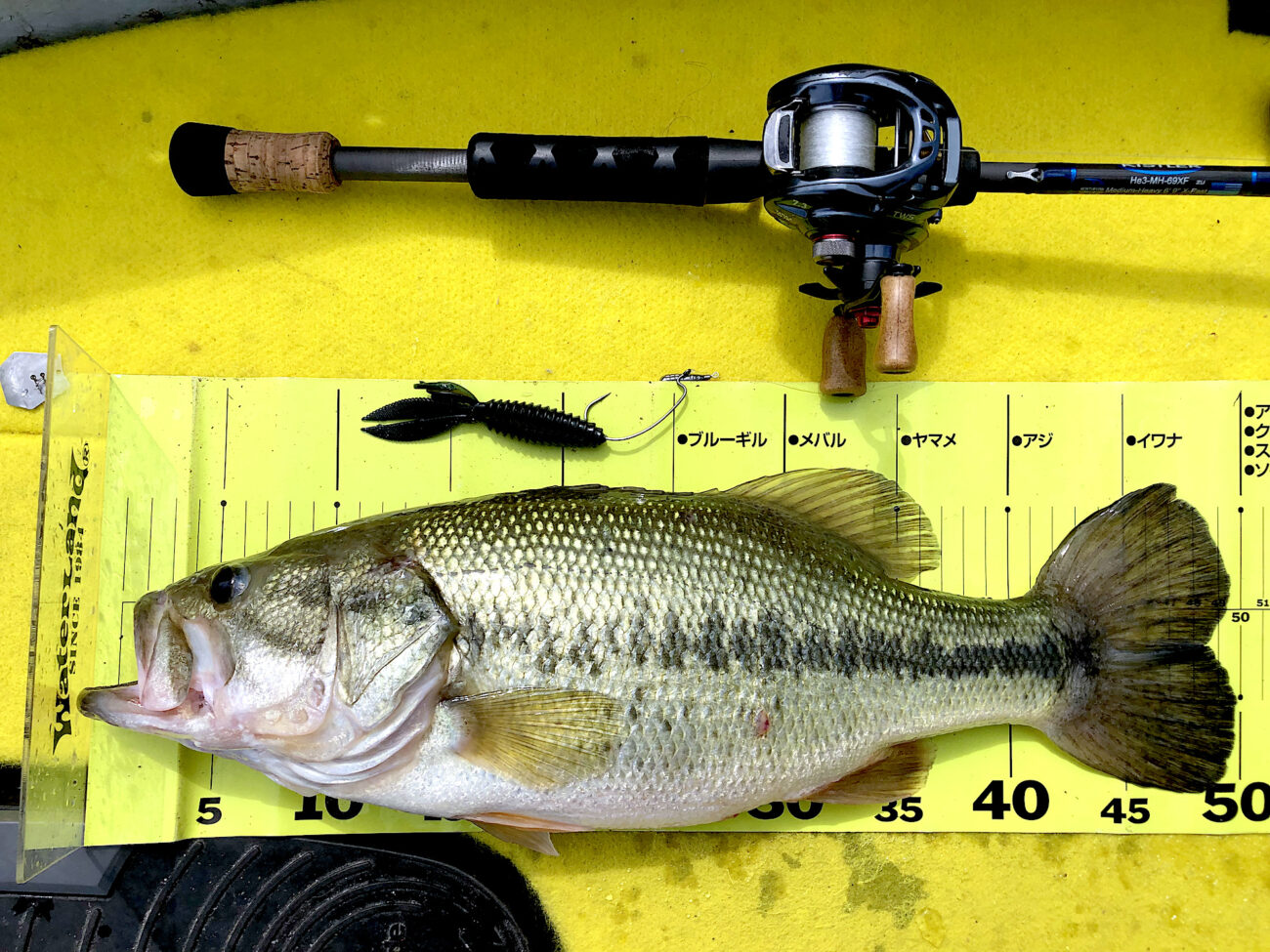 インプレ】キスラー「ヘリウム3 He3-MH-69XF」を1年ほど使ってみた感想