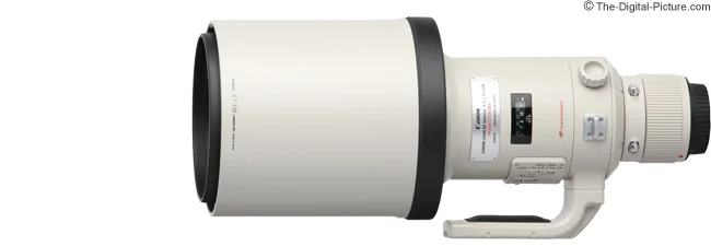 Canon EF 500mm f/4L IS USM Lens Review