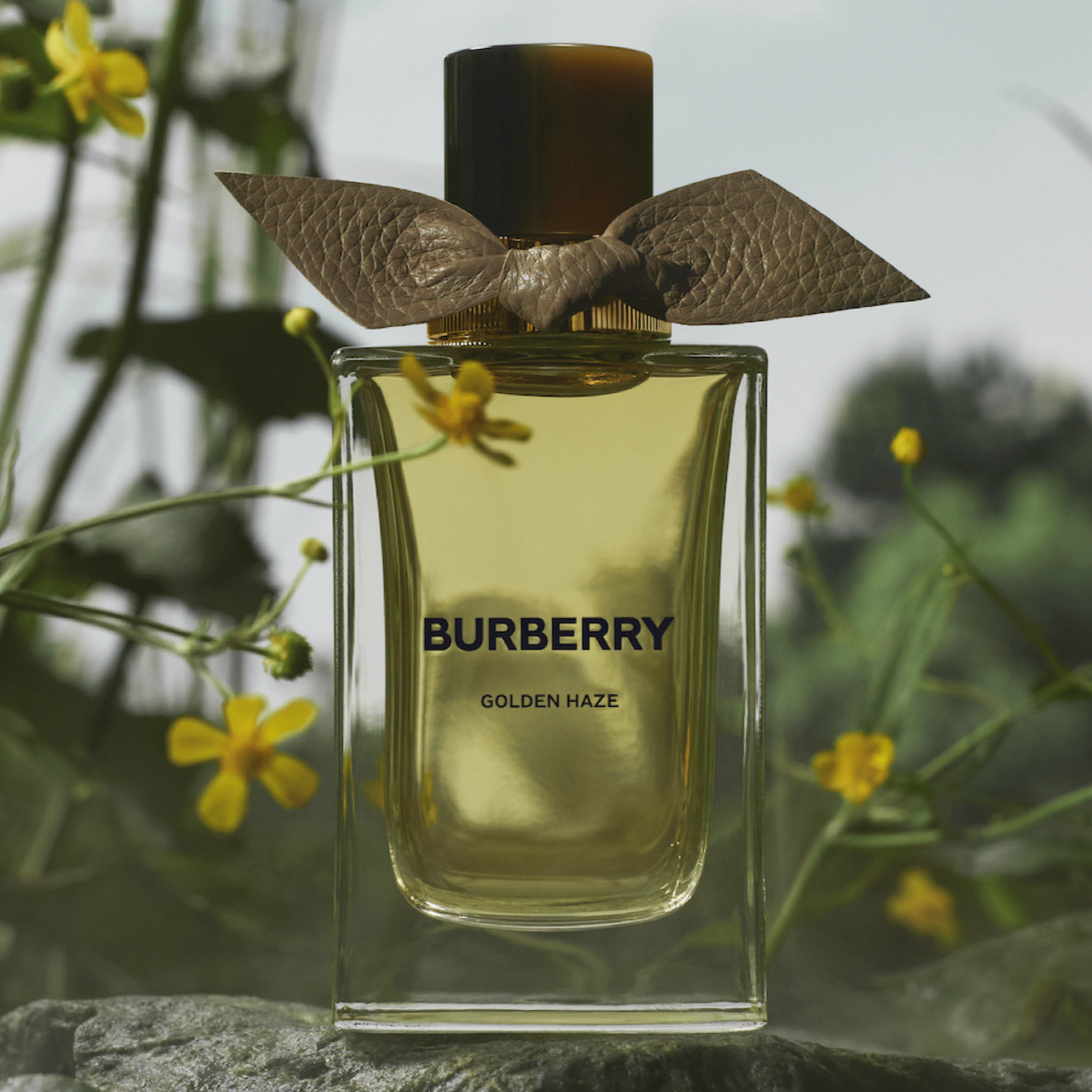 バーバリー」のフレグランスコレクションから“過酷な環境で咲く花”に