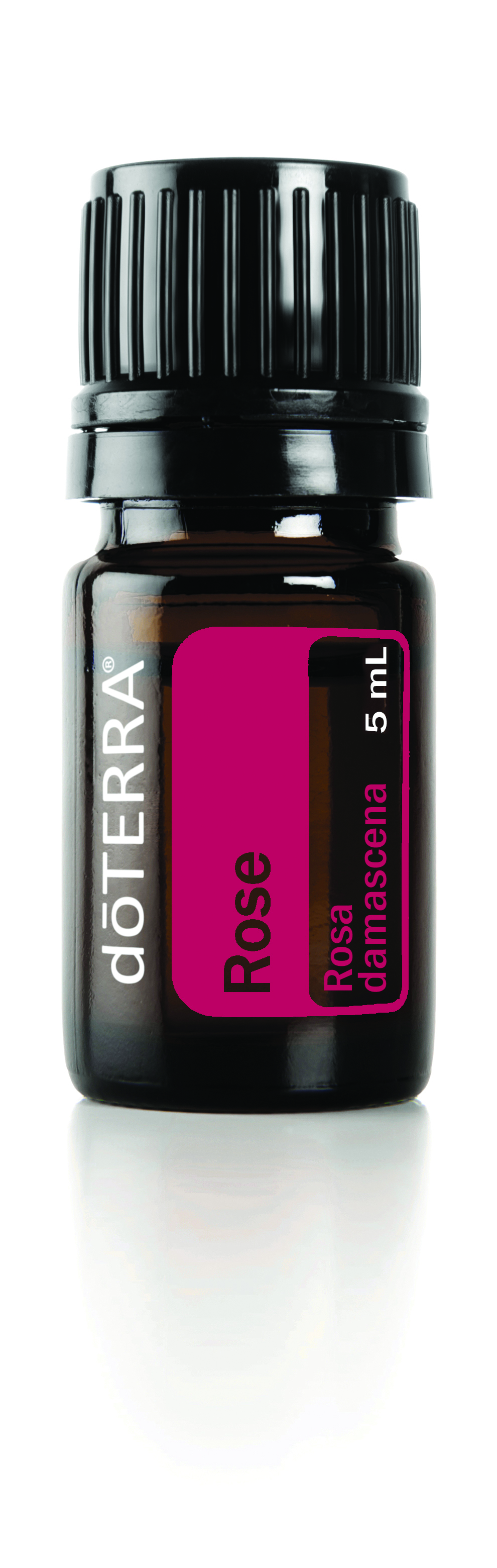 Rose Oil | dōTERRA Essential Oils