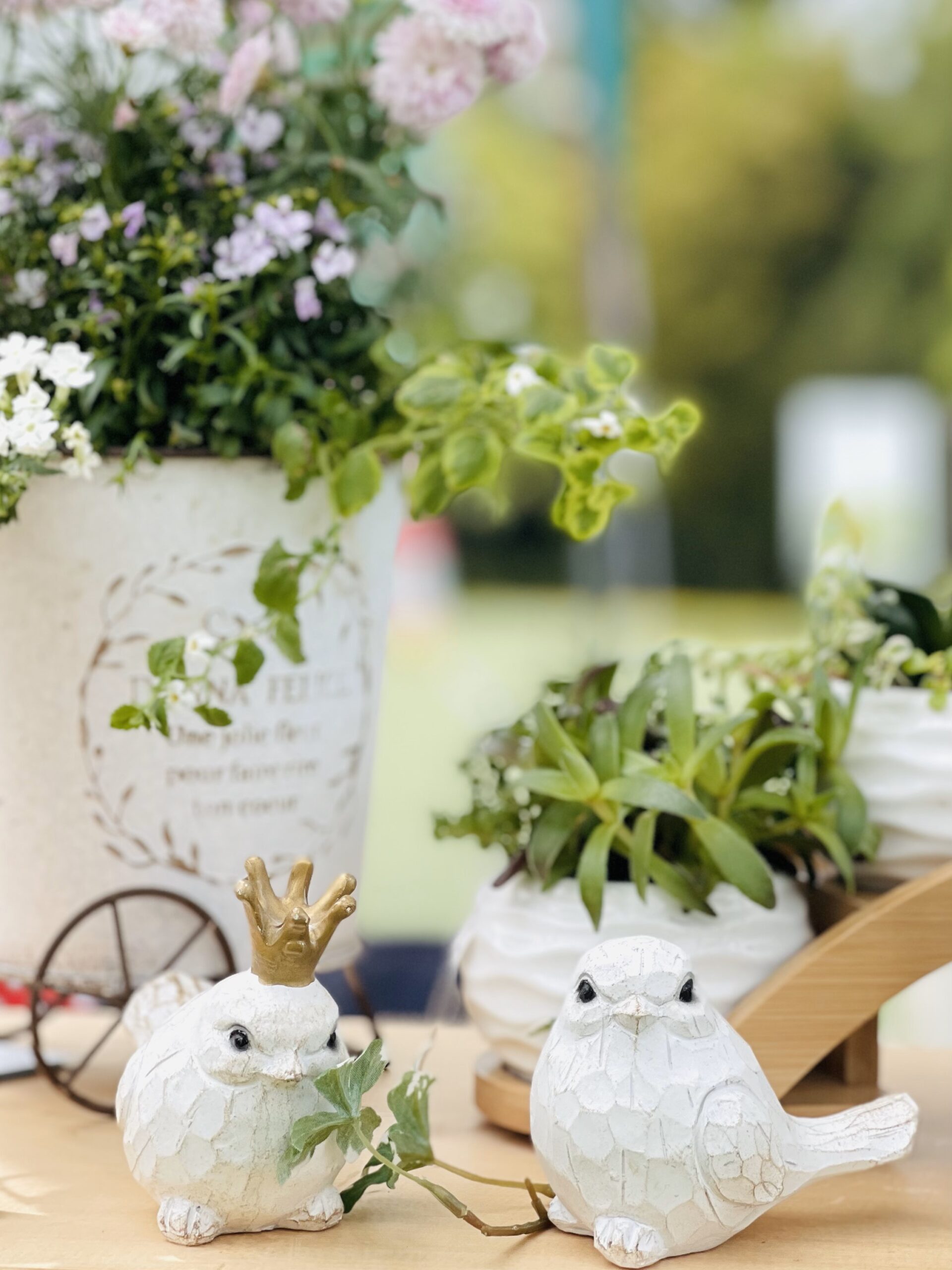 12月13-14日「空と森のマルシェ」138タワーパーク - メディアいちのみ