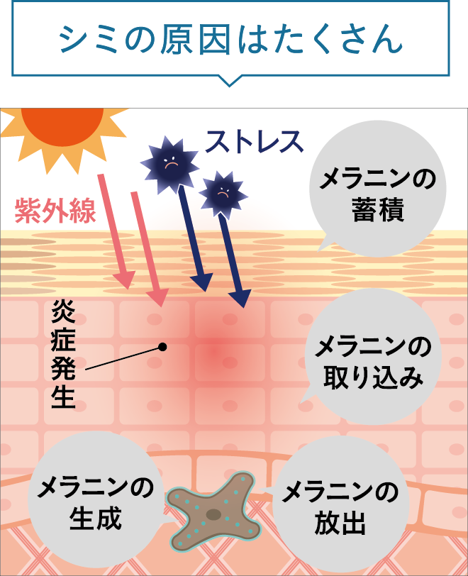 ホワイティクリアゲル 180g（医薬部外品） | 乾燥予防 | 商品一覧