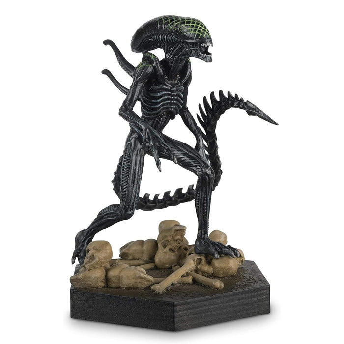 Alien & Predator 1:16 Figure Collection | #18 AVP Grid Xenomorph