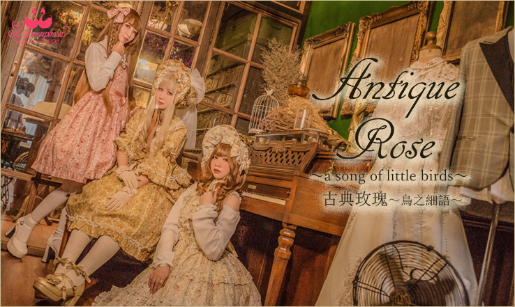 Antique Rose @Flora Salon | メタモルフォーゼ - ロリータ（ロリィタ