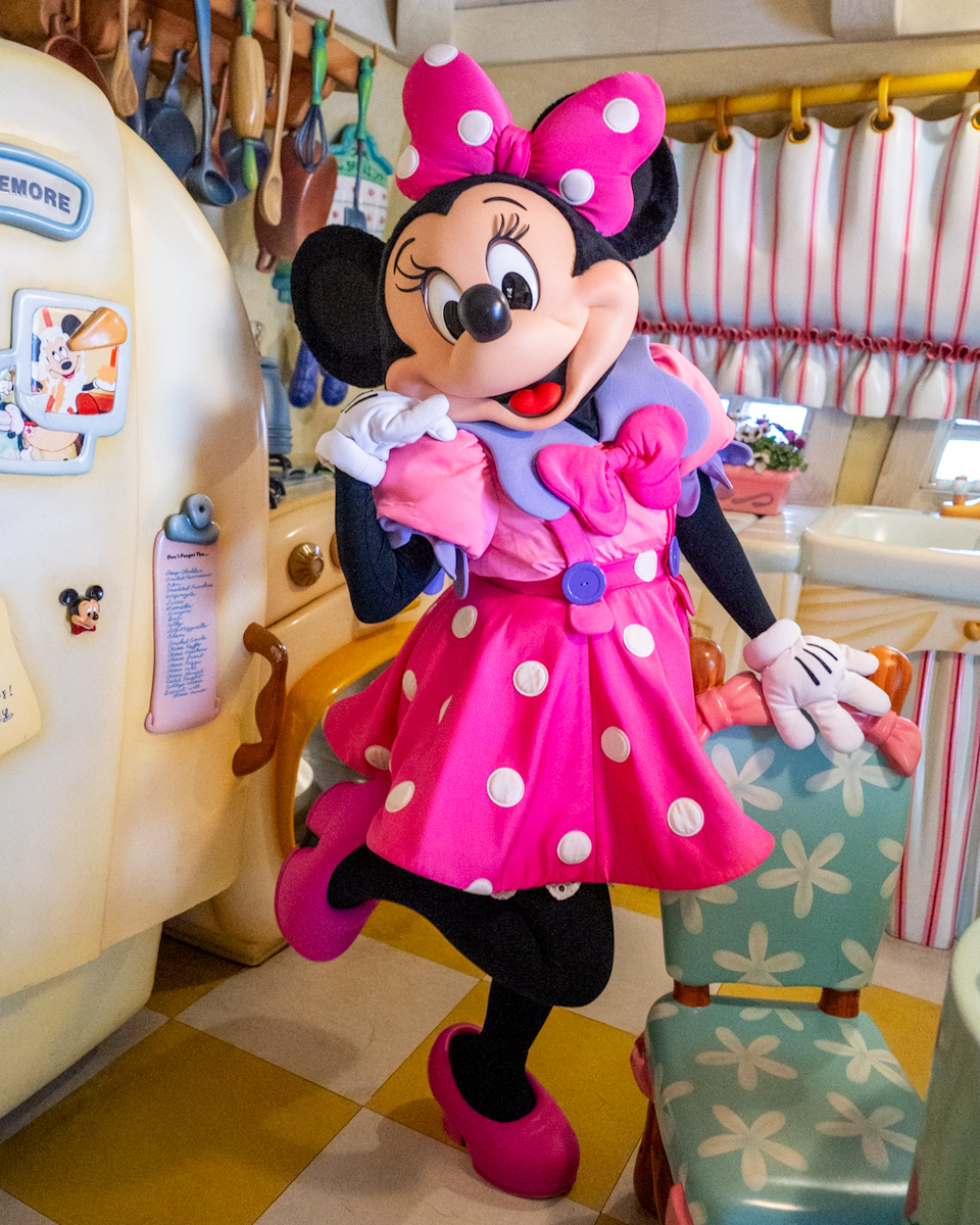 ピンクの衣装がかわいい！東京ディズニーランド／トゥーンタウン