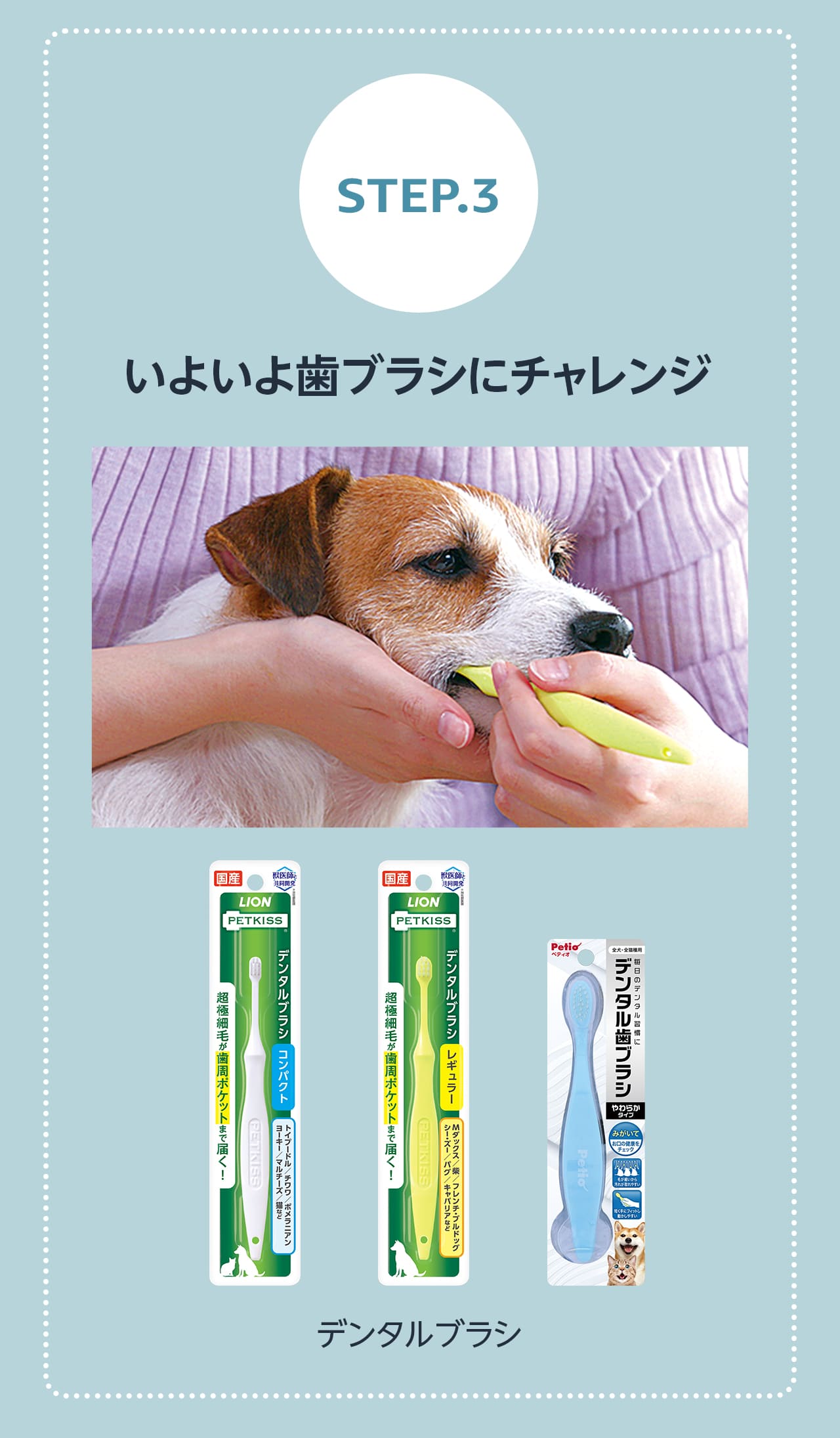 Amazon.co.jp: ペットのデンタルケアストア: ペット用品
