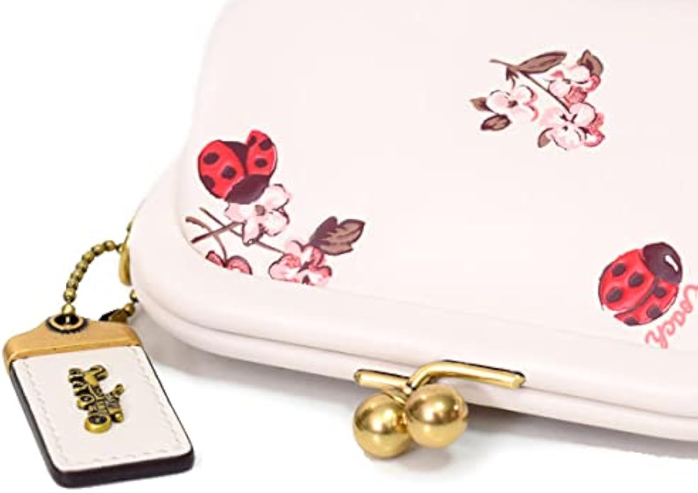 Amazon | COACH コーチ カーフレザー レディーバグ てんとう虫