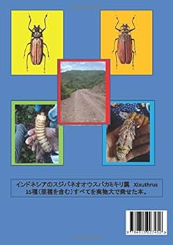 インドネシアのスジバネオオウスバカミキリ: 亜種を含む14種 (MyISBN