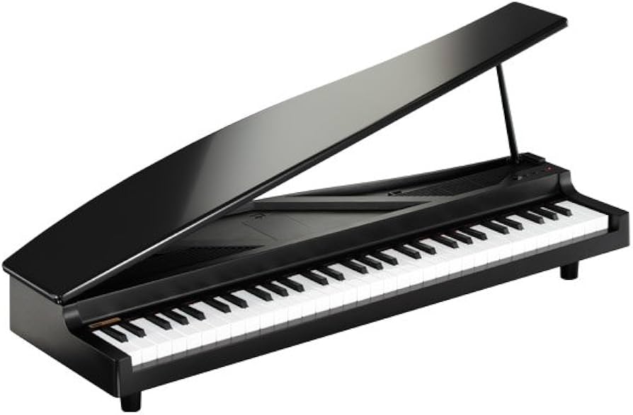 Amazon | KORG MICROPIANO マイクロピアノ ミニ鍵盤61鍵 ブラック 61曲